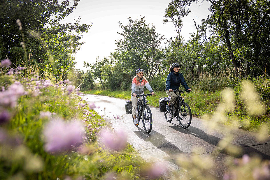 Mit dem Fahrrad in den Frühling Zwei Personen auf einem Radweg in der Natur